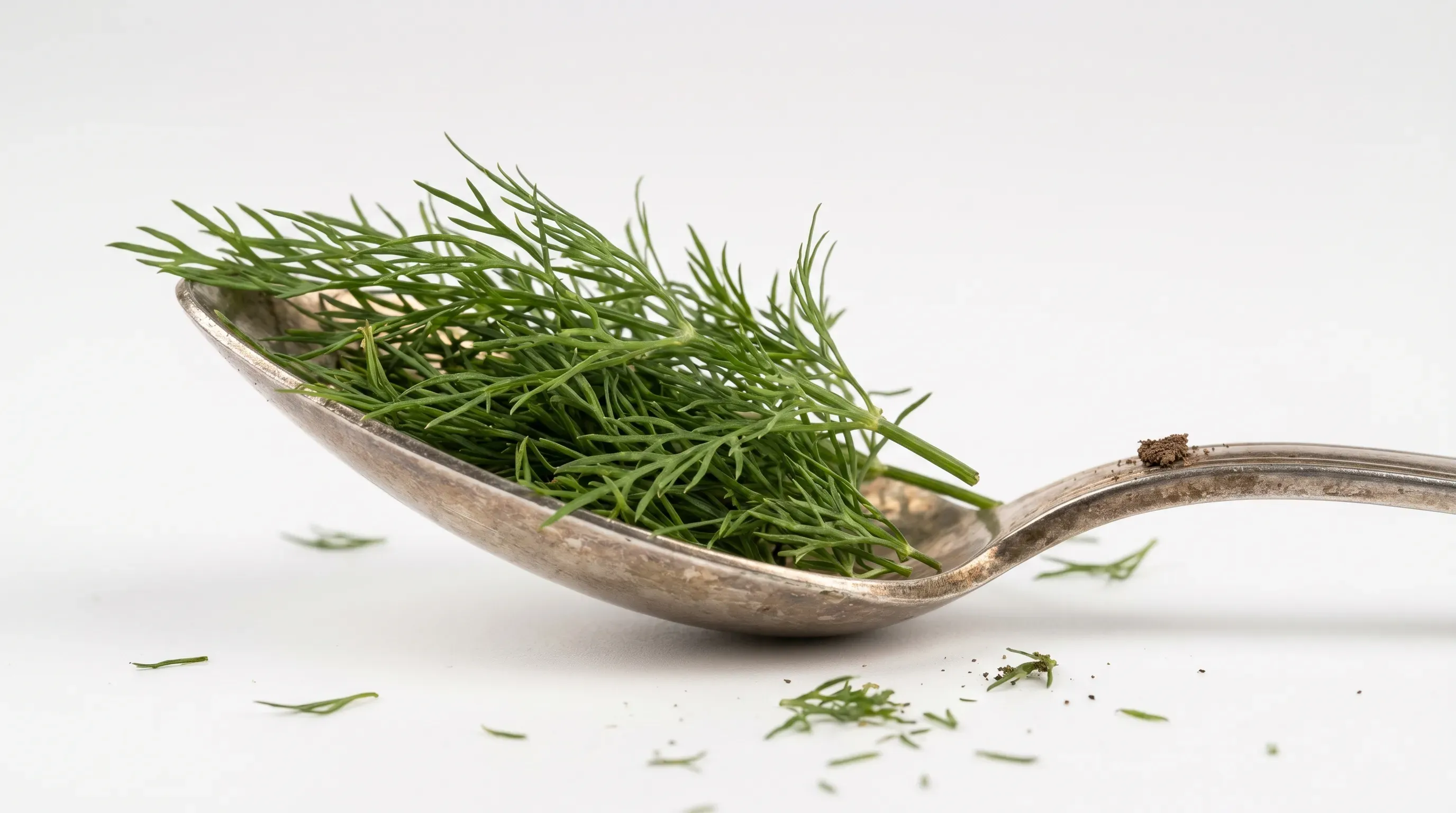 Dill