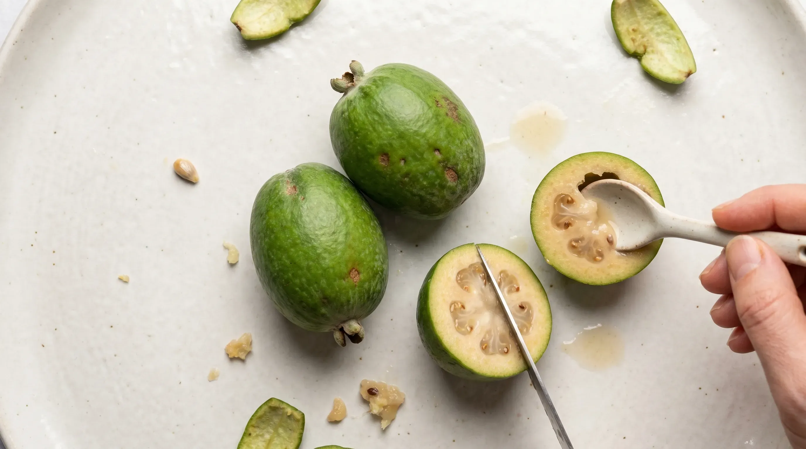 Feijoa