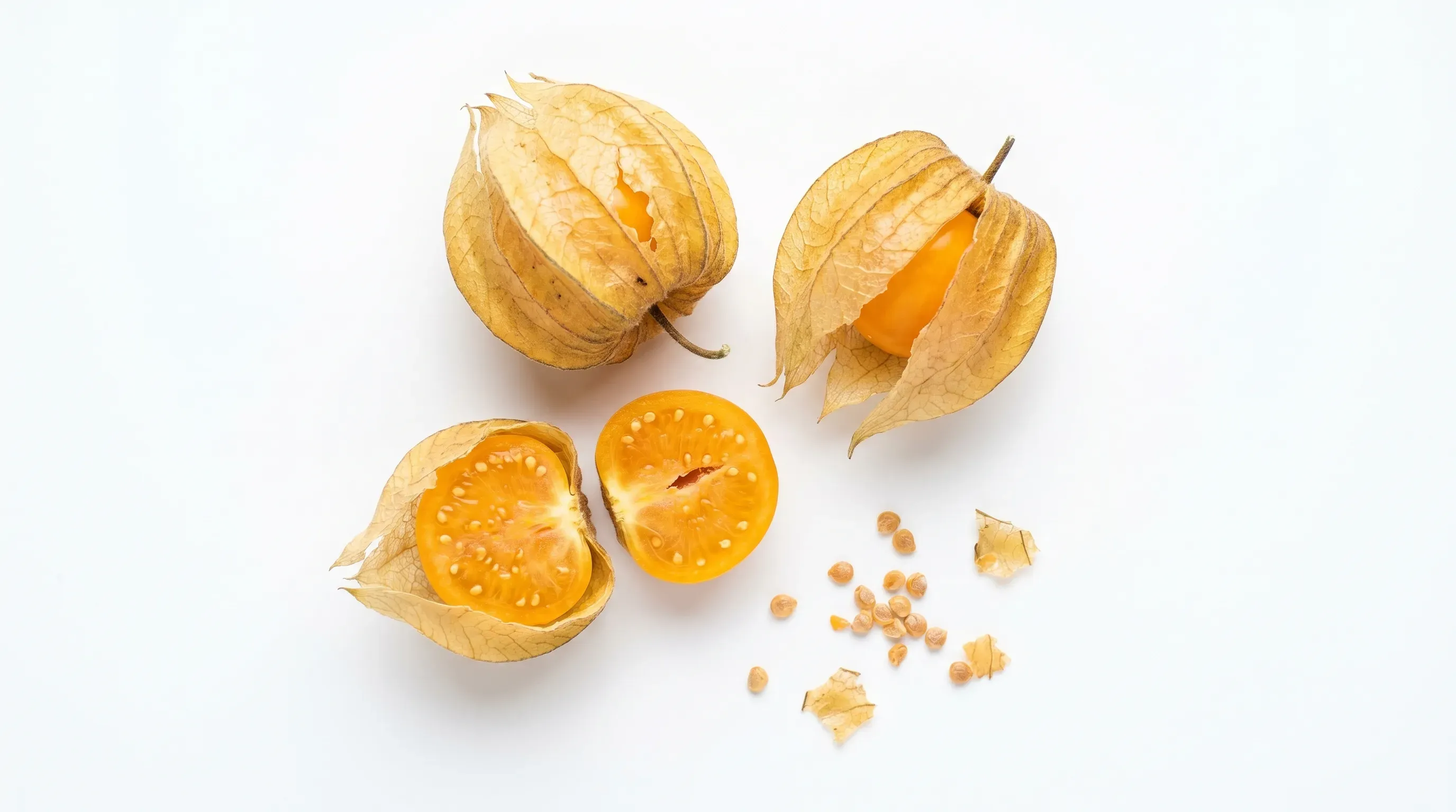 Physalis