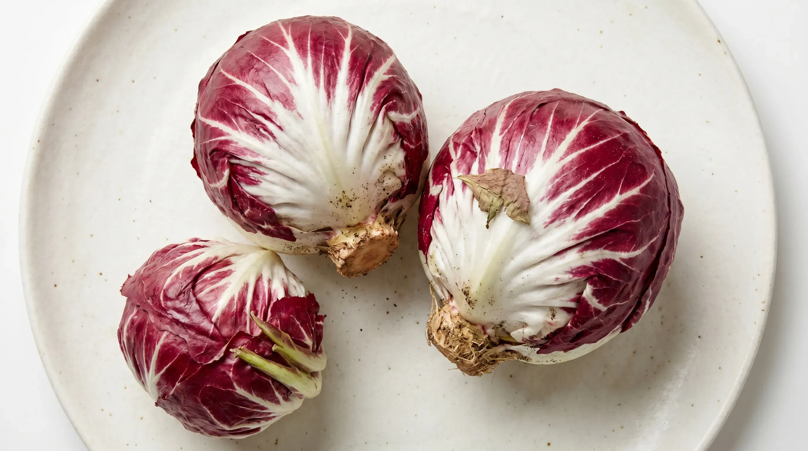 Radicchio