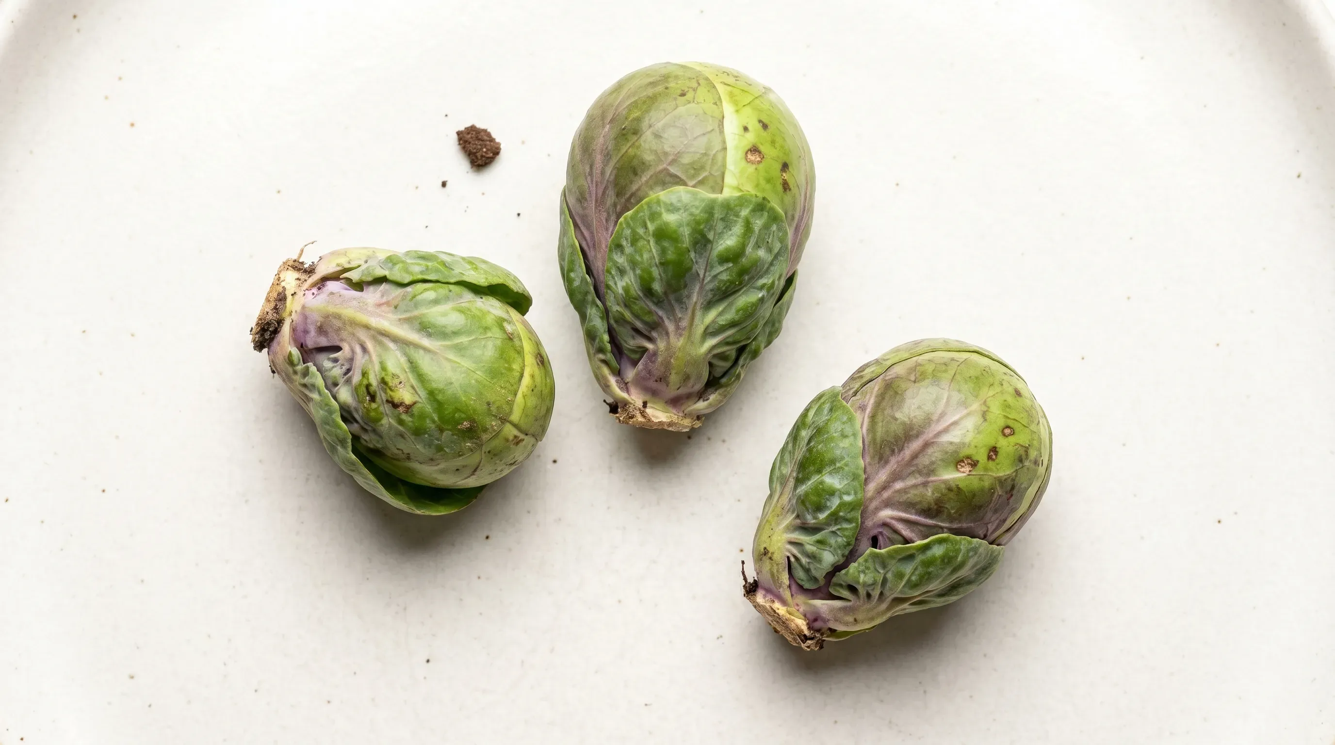 Rosenkohl
