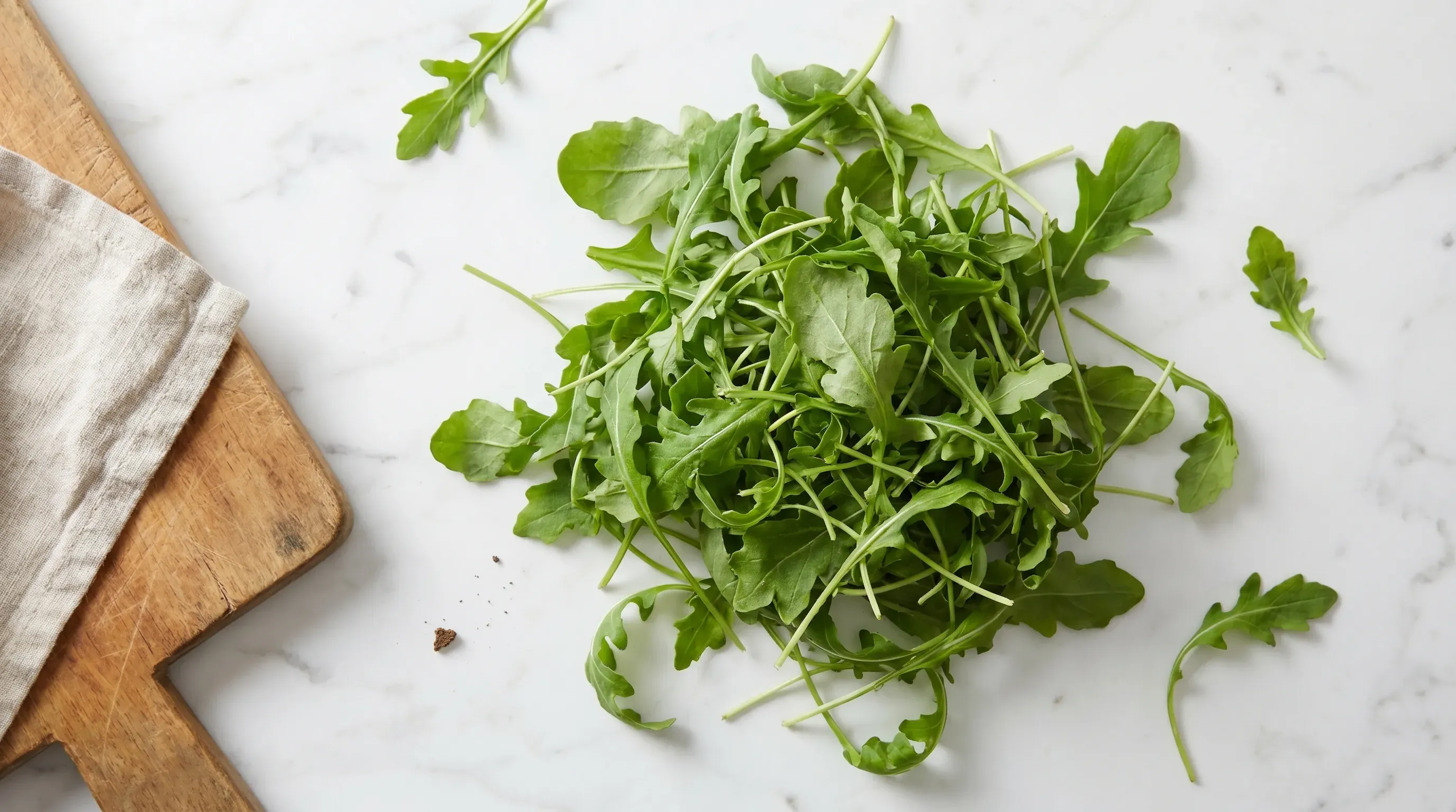 Rucola